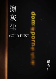 擦灰尘gold dust小说封面